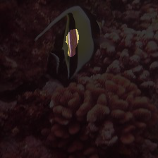 5-278