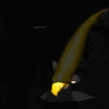 6-569