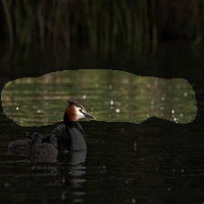 6-978
