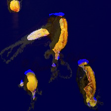 5-302