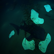 6-979