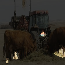 6-1006