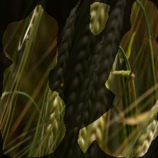 6-1012