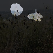 6-455
