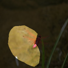 7-198