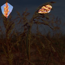 6-891