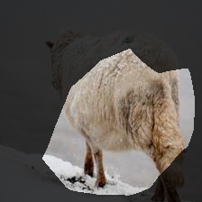7-64