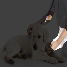 6-483