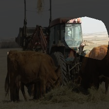 7-469