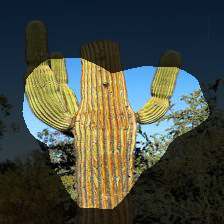 7-504