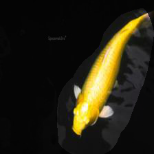 7-313