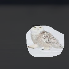 7-332