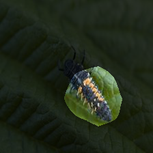7-336