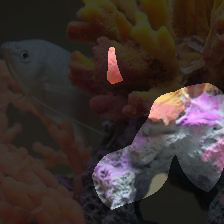 7-973