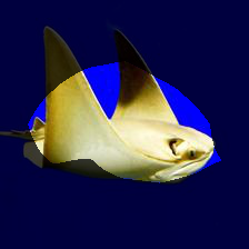 7-983