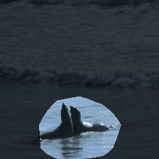 7-1166