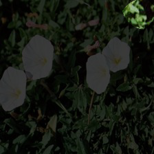 7-1178