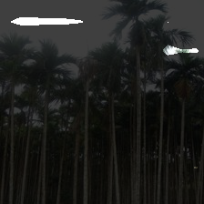 6-231