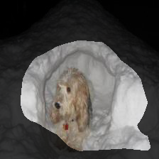 7-1557