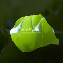 7-810