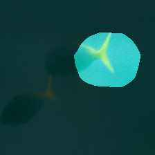 7-1211