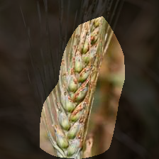 7-1411