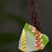 7-1421