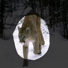 7-695