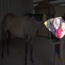 7-1651