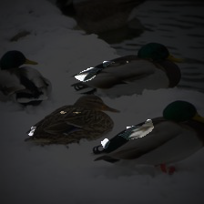 5-142