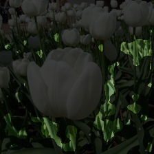 5-281