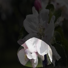7-1514