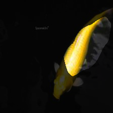 7-2031