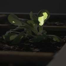 5-344