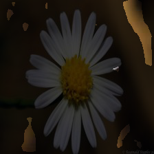 5-161