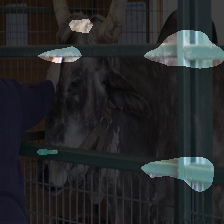6-29