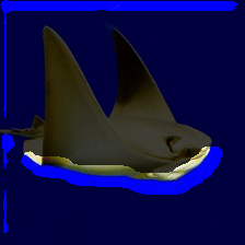 5-363