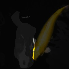 6-172