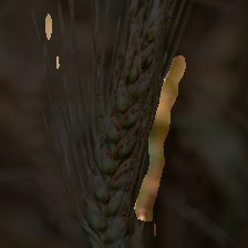 5-193