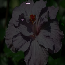 5-194