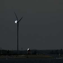 4-239