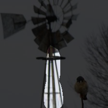 6-64
