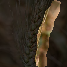 6-91