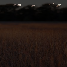 4-83