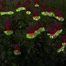 5-34