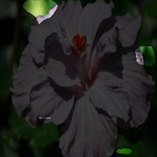 6-116