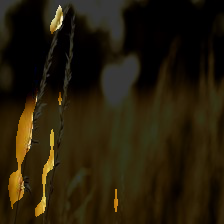5-445