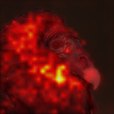 0_1_attn.png