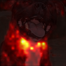 0_3_attn.png
