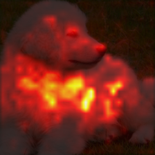 0_5_attn.png